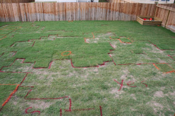 paintgrass.jpg